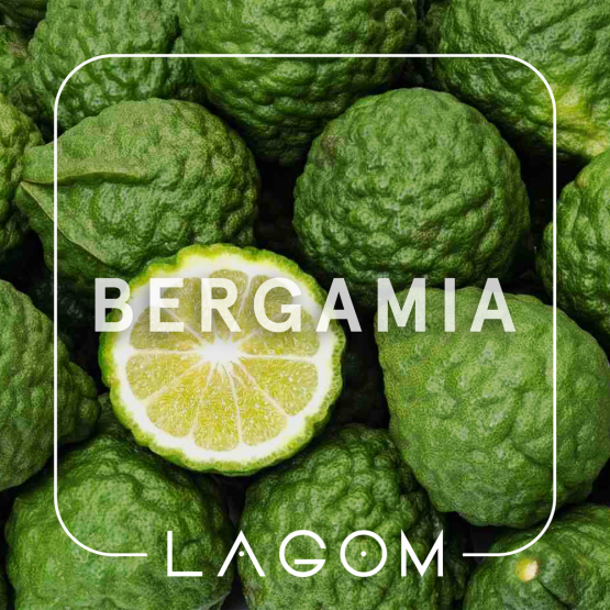 Табак Lagom Bergamia (Бергамот) 40 грамм